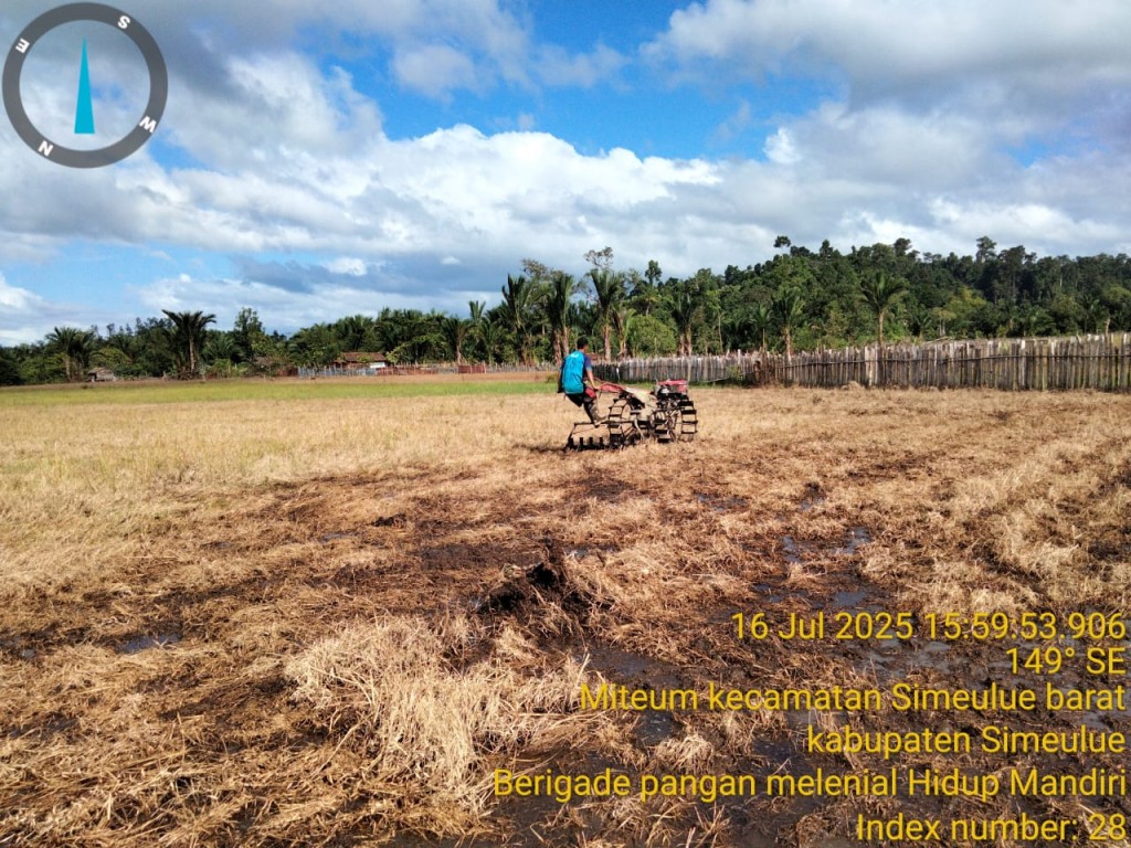 PERTANIAN MENJADI SALAH SATU SUMBER KEHIDUPAN UNTUK MENCARI NAFKAH BAGI MASYARAKAT DESA MITEUM